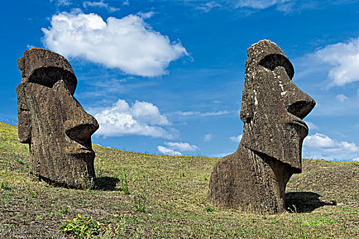 复活节岛石像,拉诺拉拉库采石场,拉帕努伊国家公园,世界遗产,复活节岛,智利,南美