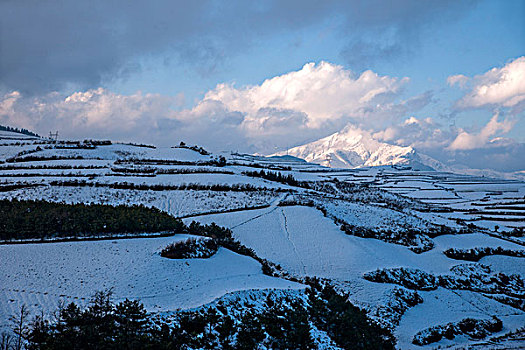 云南东川雪后红土地