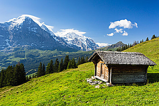 小,谷仓,正面,艾格尔峰,山,伯尔尼阿尔卑斯山,瑞士