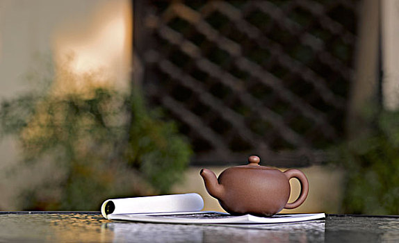 公园桌子上的茶壶