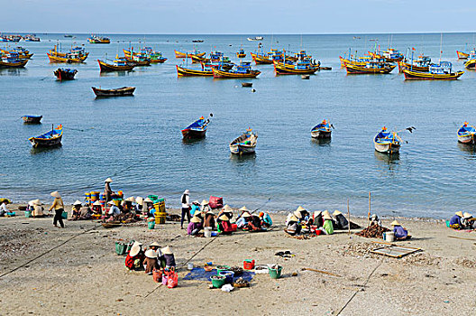 女人,鱼,市场,背影,彩色,木质,捕鱼,船,海滩,越南,亚洲