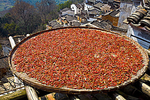 婺源,春天,油菜花,徽派,建筑,篁岭,晒秋,风情,风景,风光,乡村,民居