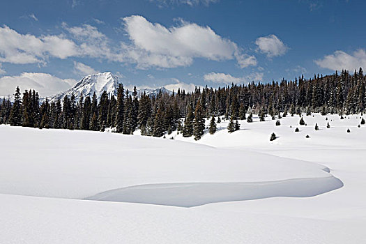卡纳纳斯基斯县,艾伯塔省,加拿大,雪,山峦