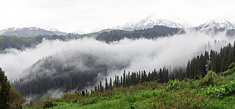 云雾天山