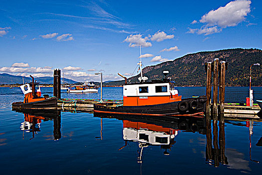 工作,船,码头,湾,温哥华岛,不列颠哥伦比亚省,加拿大