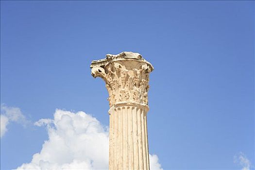 罗马,柱子,迦太基,突尼斯