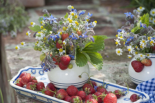 小,花束,花,药草,新鲜,草莓