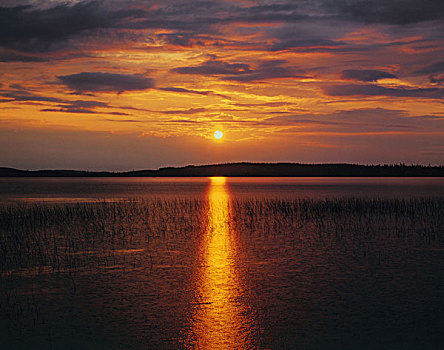 斯堪的纳维亚,海洋,日落