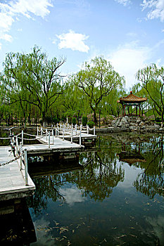 中國古典園林湖泊中的石板橋和涼亭