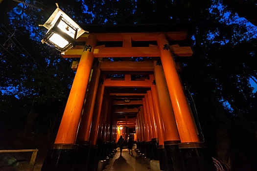 日本京都伏见稻荷大社千本鸟居夜景