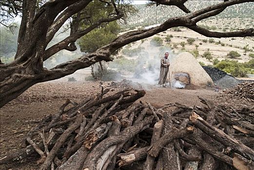 木碳,窑,摩洛哥,非洲