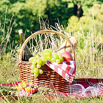 野餐篮,水果,葡萄酒,面包