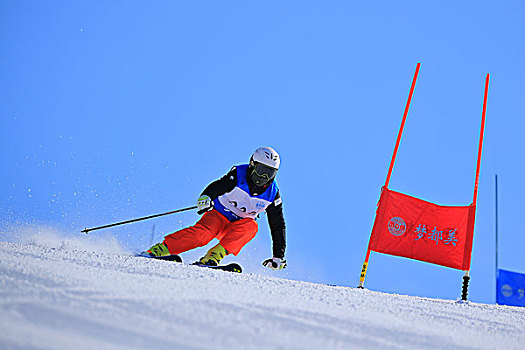 高山大回转双板滑雪比赛