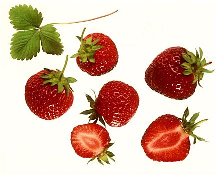 一半,草莓,草莓叶