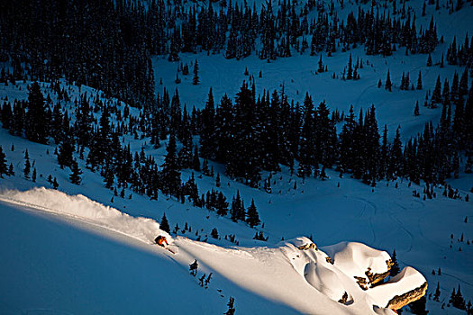 一个,男人,边远地区,滑雪,转,白天,亮光,踢,马,金色,不列颠哥伦比亚省,加拿大