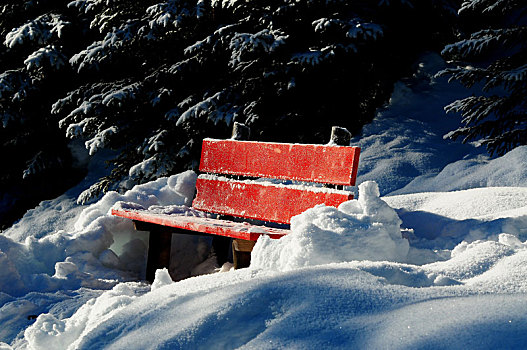 雪,冬季风景,红色,长椅