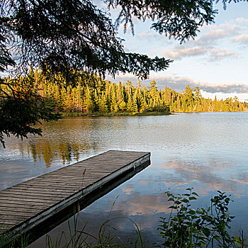 码头,湖,木头,安大略省,加拿大