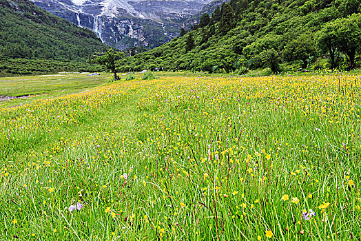 香格里拉风景