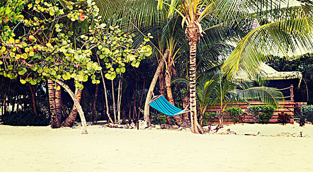 海滩,夏天,休闲,概念,蓝色,吊床,热带沙滩