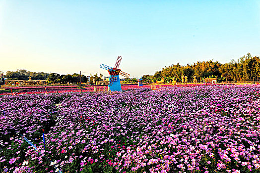 广州从化稻草农业公园风景