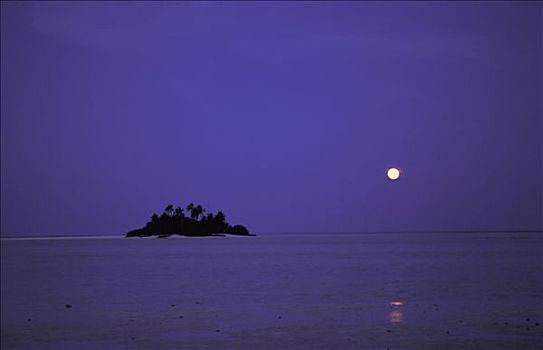 马尔代夫,小岛,获月