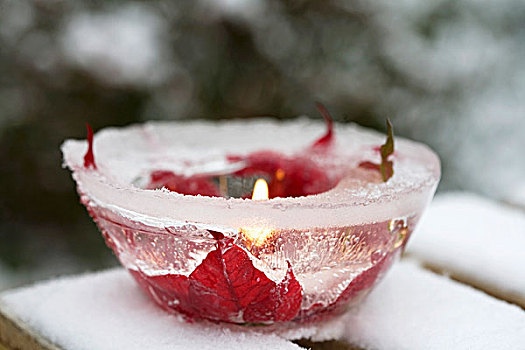 冰,器具,一品红,花,冰冻,蜡烛