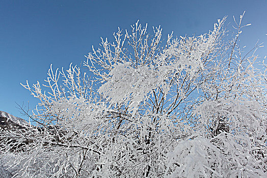 陕西秦岭分水岭雪景