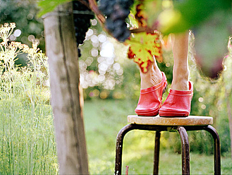 女人,红色,鞋,花园