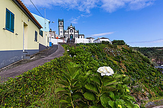 教堂,波尔图,岛屿,亚速尔群岛,葡萄牙