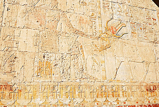 墙壁,象形文字,哈采普苏特陵庙,底比斯,西部,路克索神庙,尼罗河流域,埃及,非洲