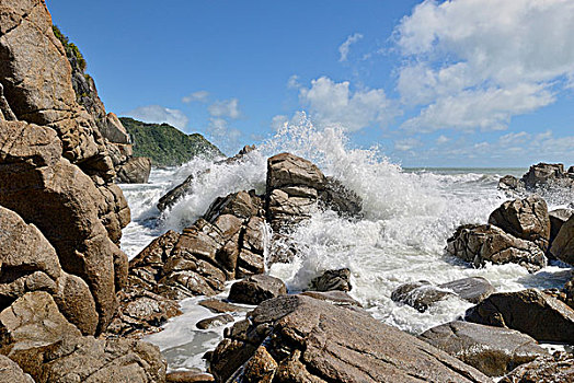 沿岸,悬崖,海浪,靠近,查尔斯顿,西海岸,塔斯曼海,南岛,新西兰