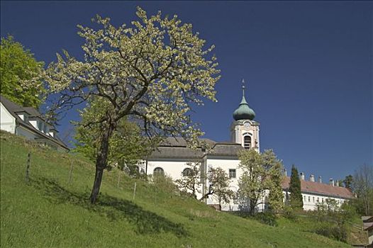 朝圣教堂,山,山谷,下奥地利州