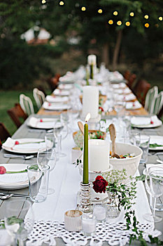 长,成套餐具,盘子,玻璃杯,食物,花园