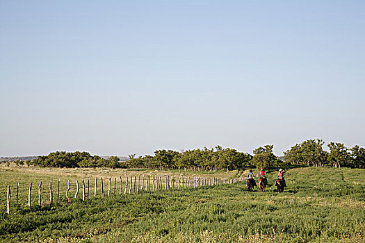 三个女人,骑马,土地,后视图,德克萨斯,美国
