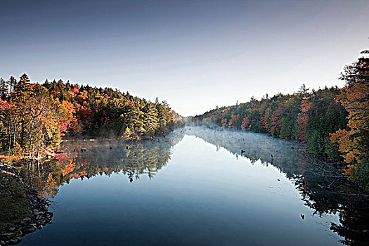 秋色,烟,溪流,阿尔冈金省立公园,安大略省,加拿大