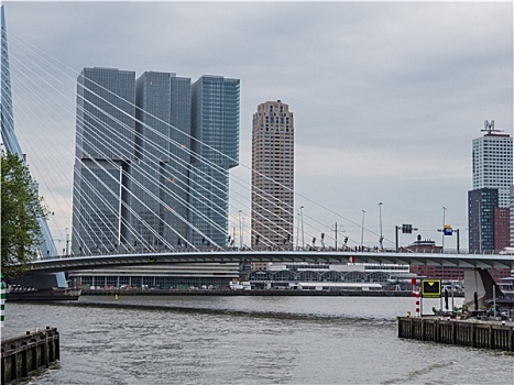 建筑,荷兰,右边,后面,桥,鹿特丹