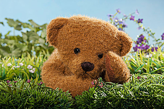 泰迪熊,卧,草