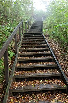 秋叶,木质,楼梯,瑞典