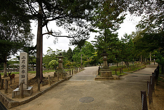 日本,奈良,东大寺