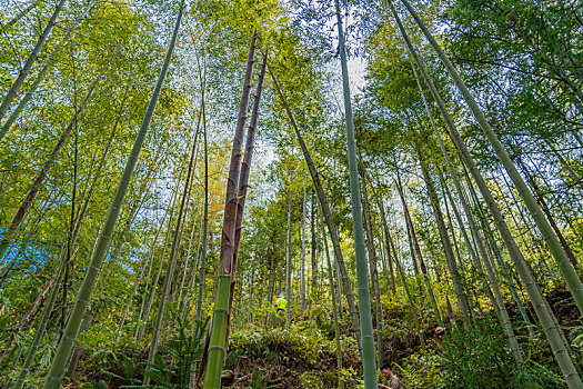 泉州九仙山,山居岁月