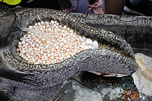 牡蛎中的珍珠