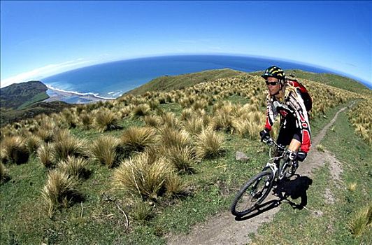 山地自行车,东海岸,南岛,新西兰