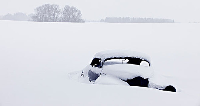 老爷车,掩埋,雪中,土地,艾伯塔省,加拿大