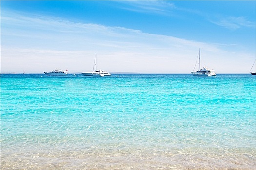 伊比萨岛,南,青绿色,海滩