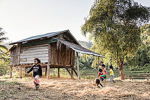 小孩,玩,一起,旁侧,木屋,琅勃拉邦,省,老挝