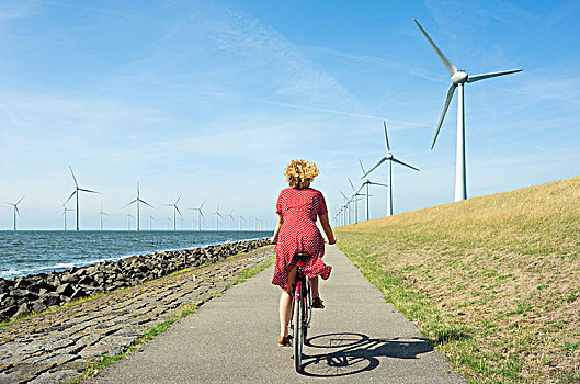 女孩,骑自行车,外滨,风电场,弗莱福兰,荷兰