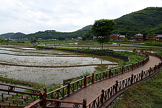 贵州遵义乡愁苟坝