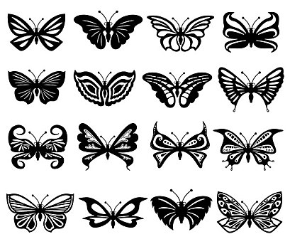 黑白,蝴蝶