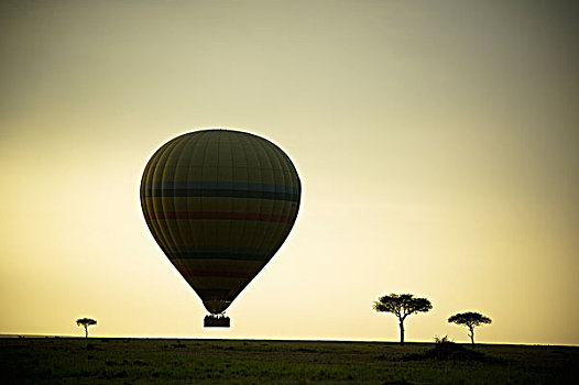 剪影,热气球,地面,黄昏,马赛马拉,肯尼亚