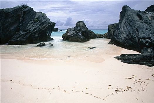 岩石构造,海滩,粉色,沙滩,马掌,湾,百慕大